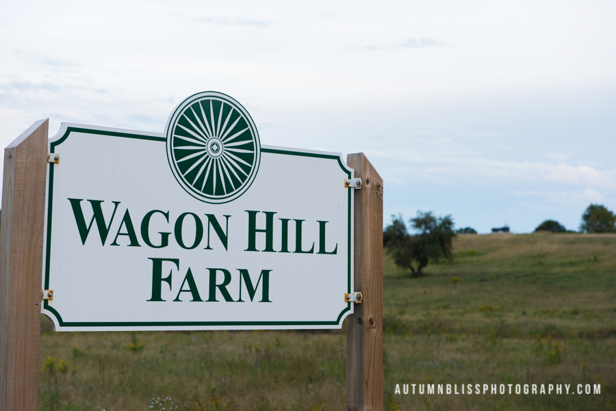 wagon-hill-farm-sign-and-wagon-durham