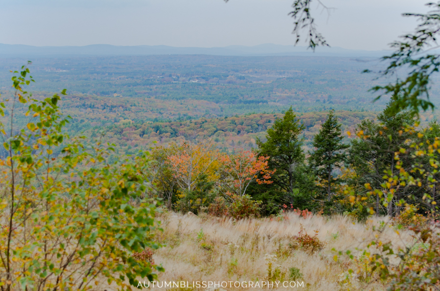 view-from-top-of-mt-agamenticus