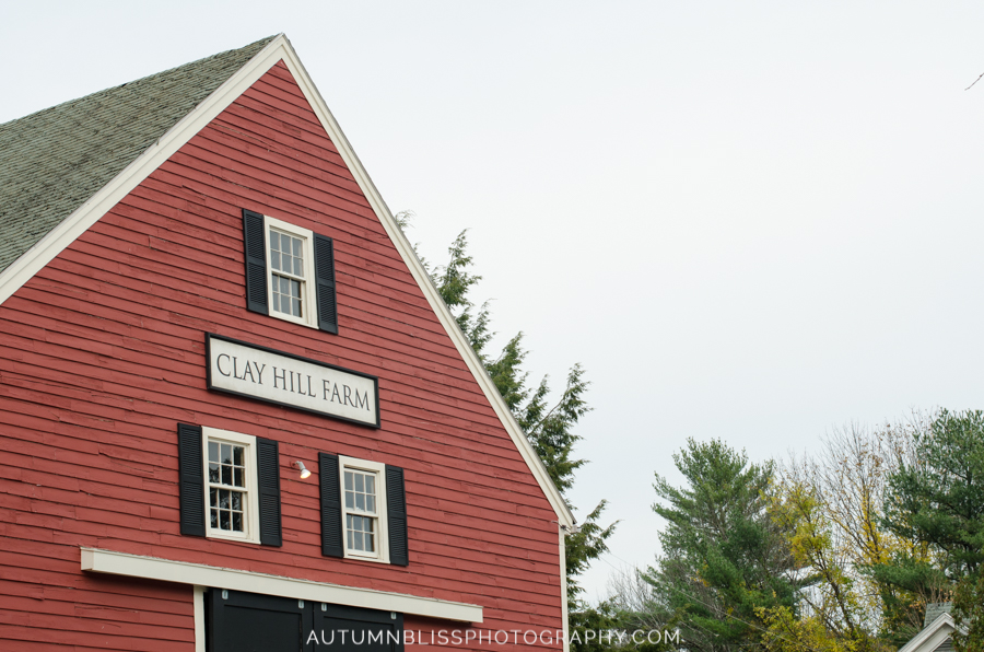 barn-at-clay-hill-farm-maine-wedding-photographer-autumn-bliss-photography