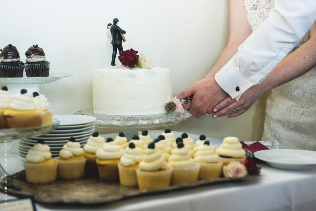 cake-cutting-wedding