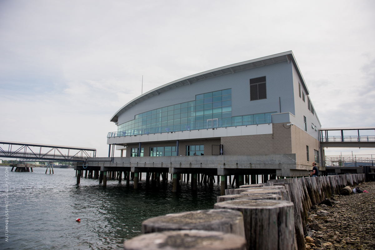 ocean-gateway-portland-maine-architectural